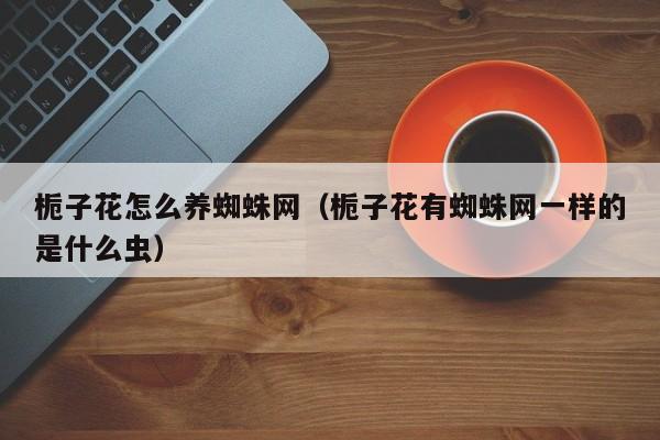 栀子花怎么养蜘蛛网（栀子花有蜘蛛网一样的是什么虫）