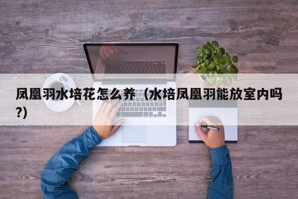 凤凰羽水培花怎么养（水培凤凰羽能放室内吗?）