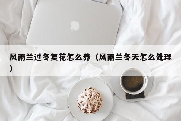 风雨兰过冬复花怎么养（风雨兰冬天怎么处理）