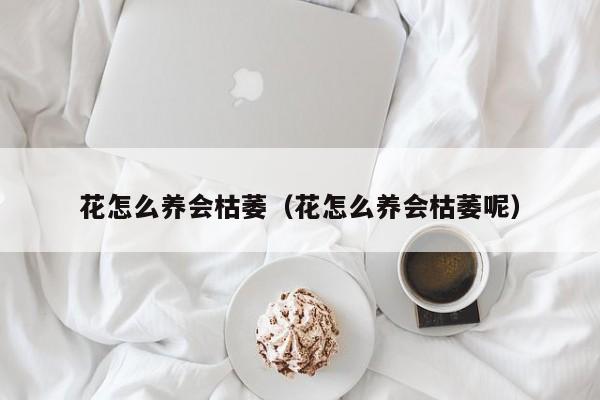 花怎么养会枯萎（花怎么养会枯萎呢）