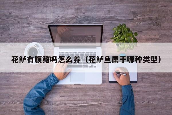 花鲈有腹鳍吗怎么养（花鲈鱼属于哪种类型）