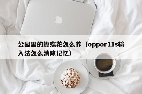 公园里的蝴蝶花怎么养（oppor11s输入法怎么清除记忆）