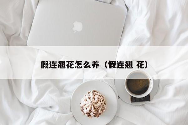假连翘花怎么养（假连翘 花）