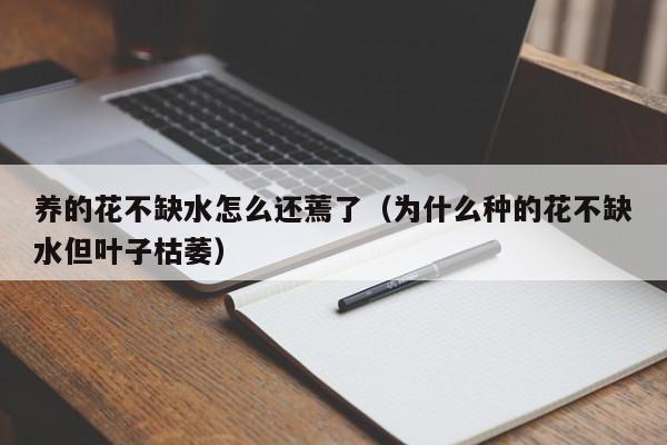 养的花不缺水怎么还蔫了（为什么种的花不缺水但叶子枯萎）