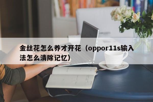 金丝花怎么养才开花（oppor11s输入法怎么清除记忆）
