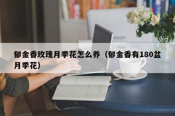 郁金香玫瑰月季花怎么养（郁金香有180盆月季花）