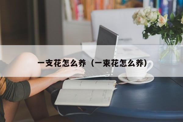 一支花怎么养（一束花怎么养）