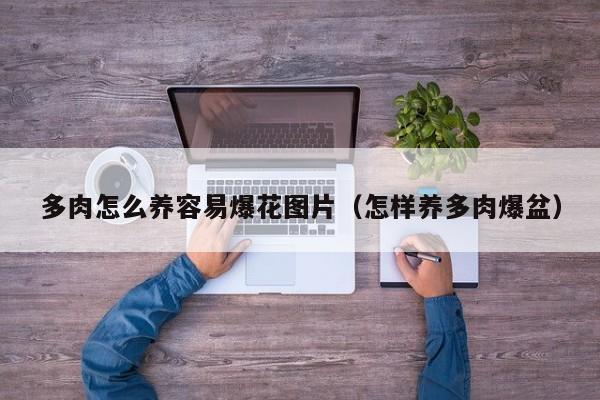 多肉怎么养容易爆花图片（怎样养多肉爆盆）