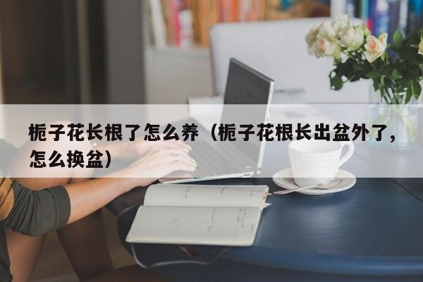 栀子花长根了怎么养（栀子花根长出盆外了,怎么换盆）