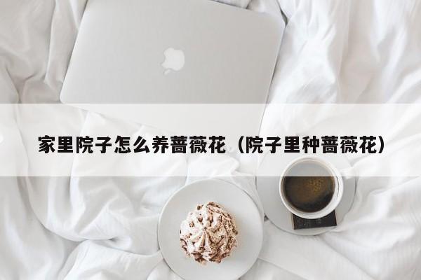 家里院子怎么养蔷薇花（院子里种蔷薇花）