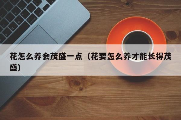 花怎么养会茂盛一点（花要怎么养才能长得茂盛）