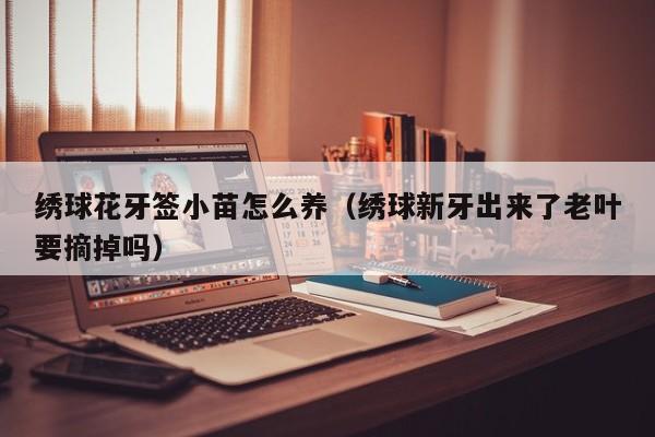 绣球花牙签小苗怎么养（绣球新牙出来了老叶要摘掉吗）