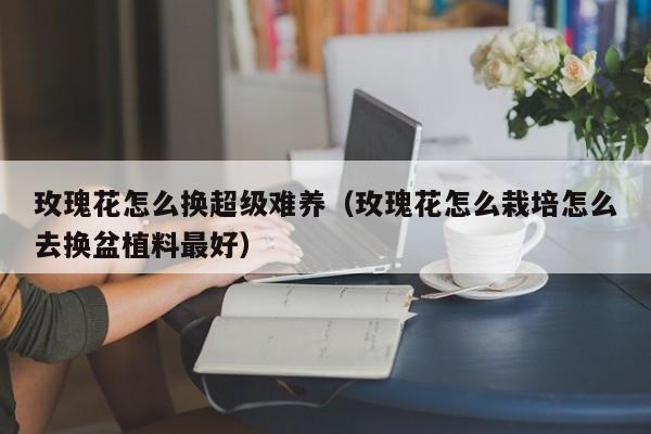 玫瑰花怎么换超级难养（玫瑰花怎么栽培怎么去换盆植料最好）