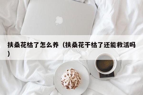 扶桑花枯了怎么养（扶桑花干枯了还能救活吗）