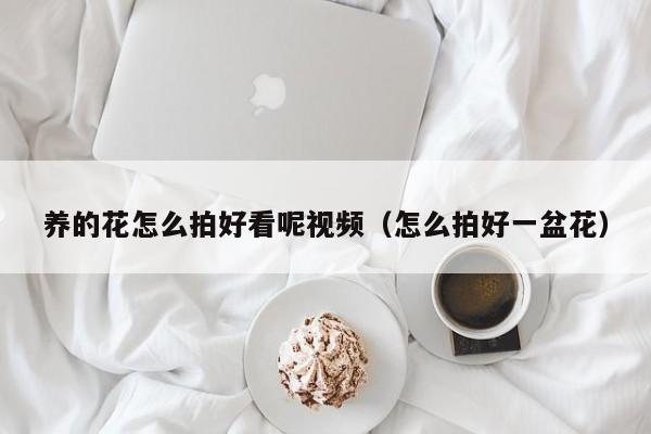 养的花怎么拍好看呢视频（怎么拍好一盆花）