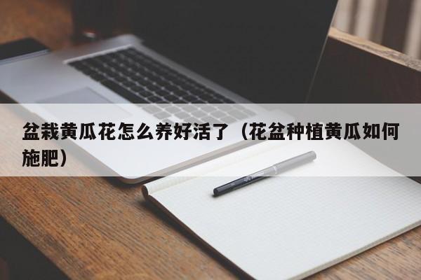 盆栽黄瓜花怎么养好活了（花盆种植黄瓜如何施肥）