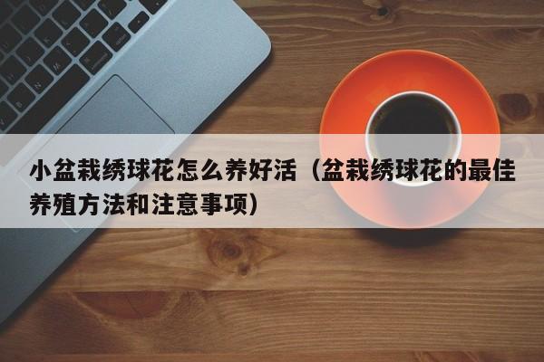 小盆栽绣球花怎么养好活（盆栽绣球花的最佳养殖方法和注意事项）