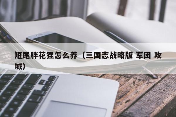 短尾胖花狸怎么养（三国志战略版 军团 攻城）