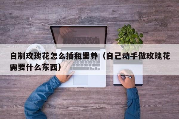 自制玫瑰花怎么插瓶里养（自己动手做玫瑰花需要什么东西）