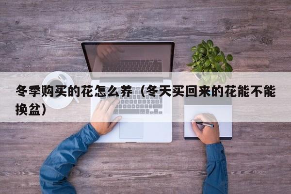 冬季购买的花怎么养（冬天买回来的花能不能换盆）