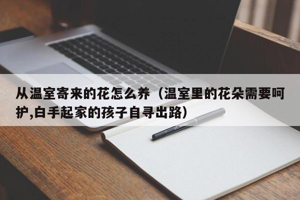 从温室寄来的花怎么养（温室里的花朵需要呵护,白手起家的孩子自寻出路）