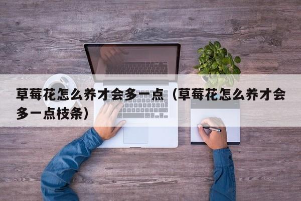 草莓花怎么养才会多一点(草莓花怎么养才会多一点枝条) 草莓花怎么养才会多一点(草莓花怎么养才会多一点枝条)