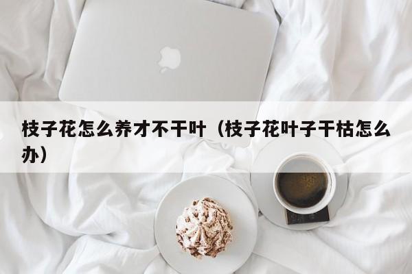 枝子花怎么养才不干叶(枝子花叶子干枯怎么办) 枝子花怎么养才不干叶(枝子花叶子干枯怎么办)