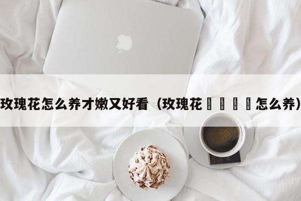 玫瑰花怎么养才嫩又好看(玫瑰花🌹怎么养) 玫瑰花怎么养才嫩又好看(玫瑰花🌹怎么养)