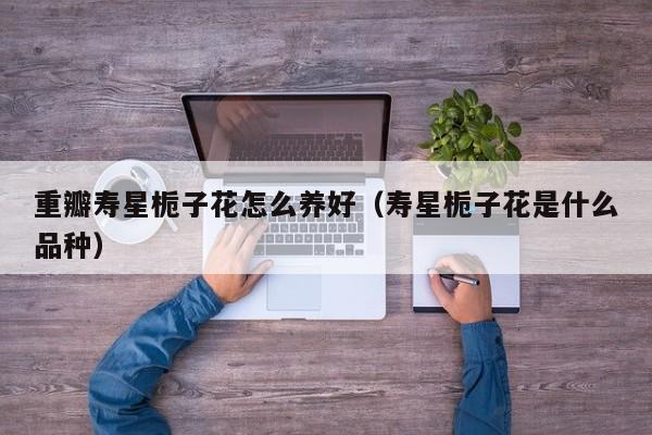 重瓣寿星栀子花怎么养好(寿星栀子花是什么品种) 重瓣寿星栀子花怎么养好(寿星栀子花是什么品种)