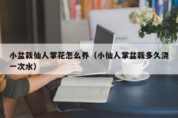 小盆栽仙人掌花怎么养（小仙人掌盆栽多久浇一次水）